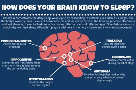 does strattera cause insomnia: An In-depth Analysis of Side Effects and User Experiences