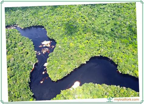 is the amazon river dangerous to swim in? Let's explore the depths of this question through various lenses.